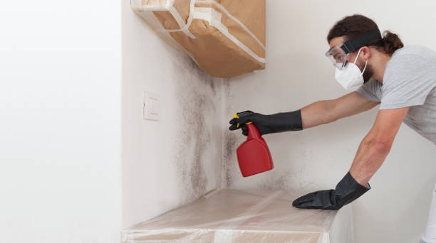 Professional Attic Mold Remediation technician working in Mount Holly, NC