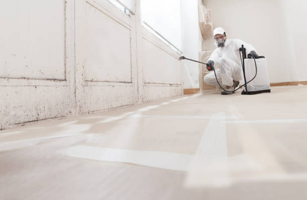 24/7 Emergency Attic Mold Remediation experts in Mount Holly, NC
