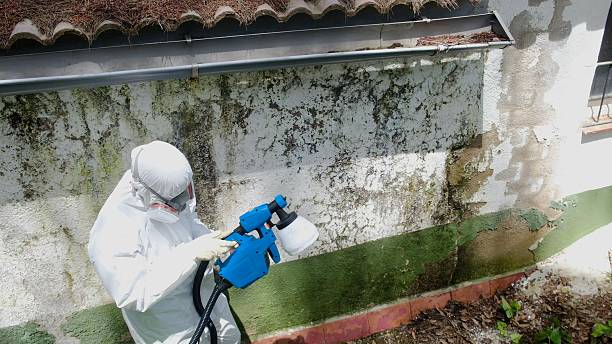 Top rated local Attic Mold Remediation specialists in Mount Holly, NC